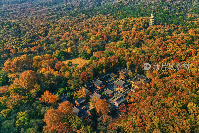 秋天的灵谷景区