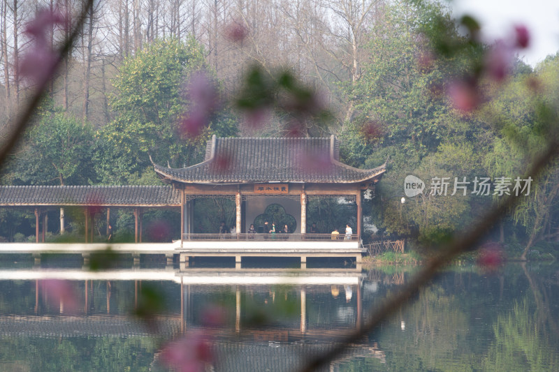 杭州浴鹄湾湖畔古亭与烂漫春花景致