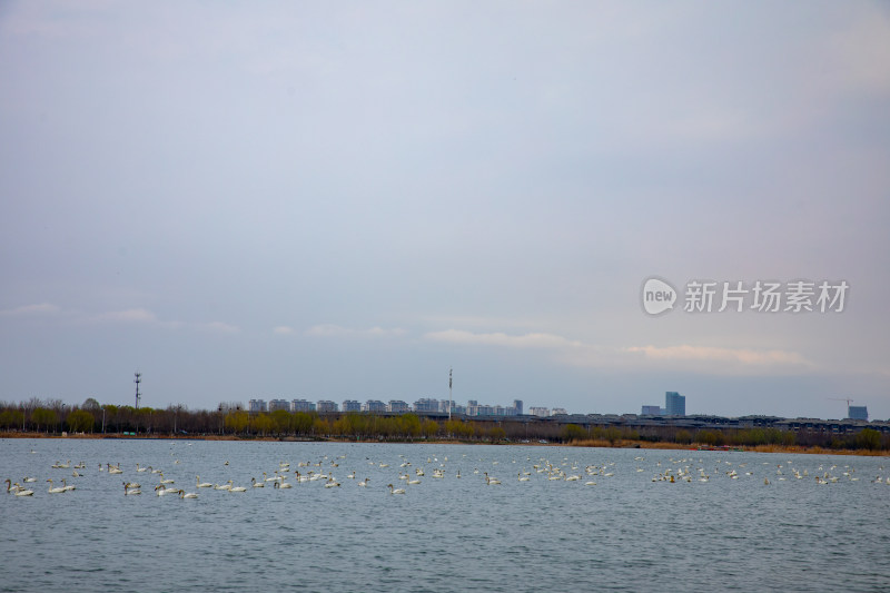 滹沱河正定新区全景风光