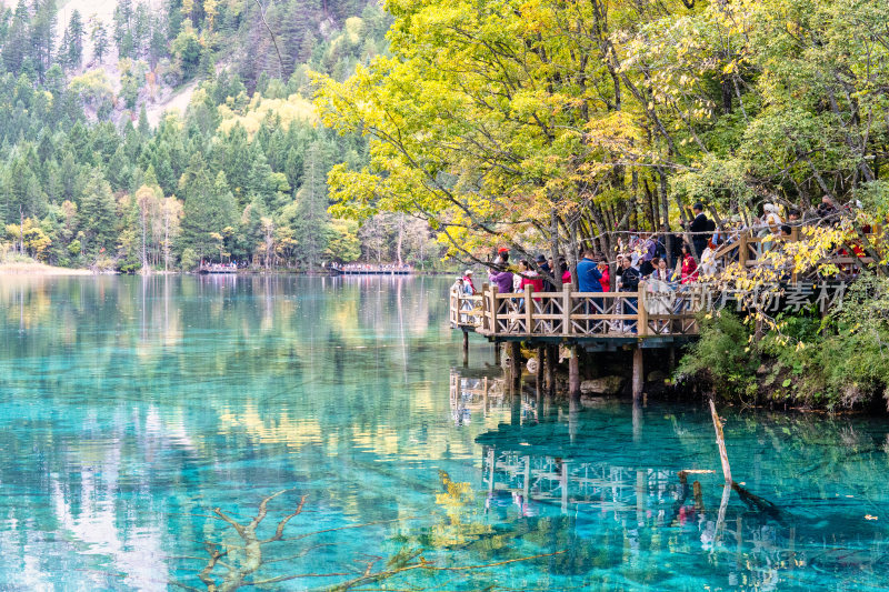 四川九寨沟景区的水景