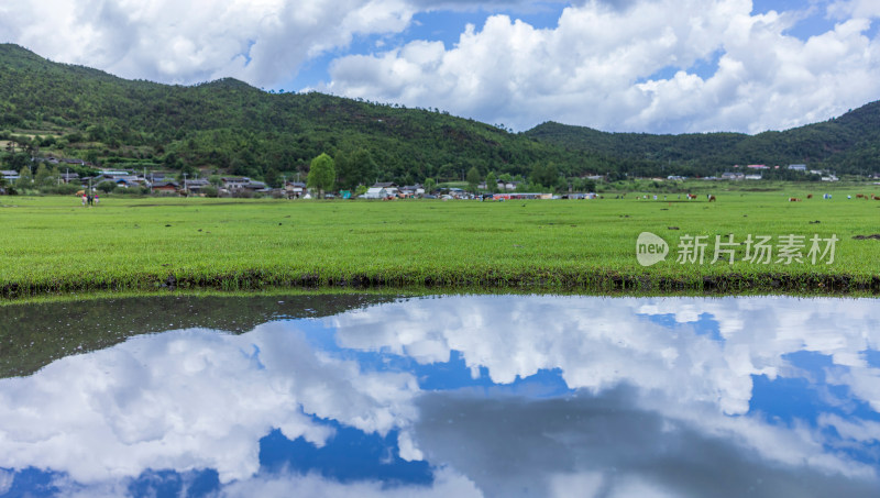 文海丽江风景