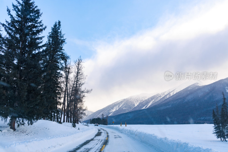 新疆喀纳斯雪景晨雾雪山森林雾凇