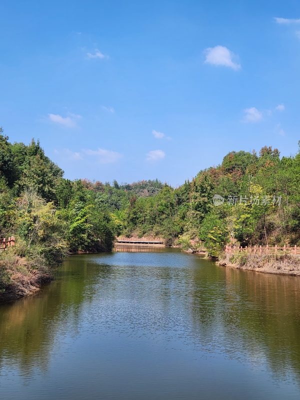 自然河道与周边绿植风景