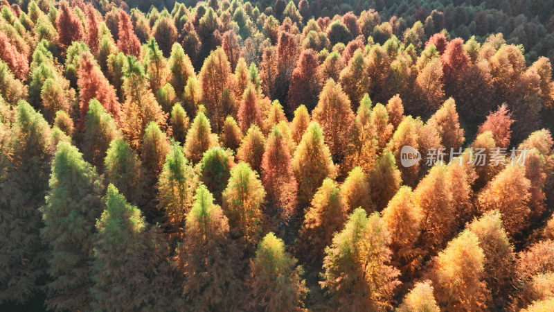 昆明寻甸三月三：色彩斑斓  冬景如画