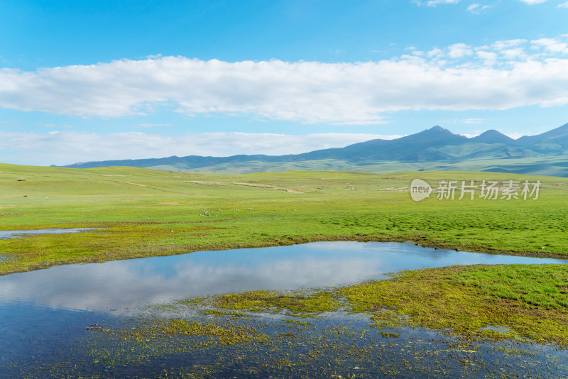 中国新疆伊犁巴音布鲁克草原风景