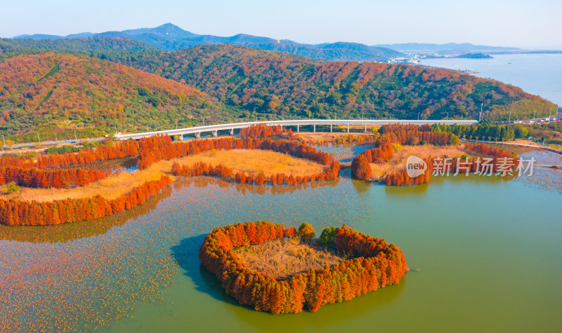 苏州太湖水映长滩红杉林航拍