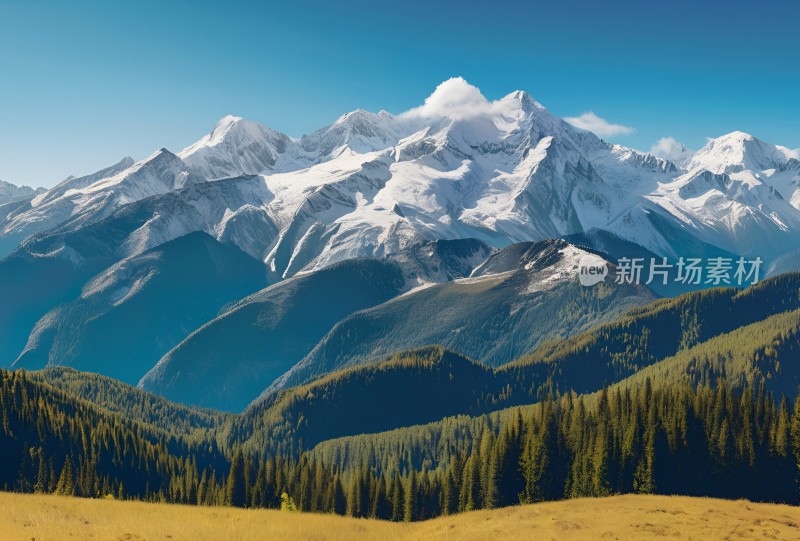 雪山高原草原森林风景