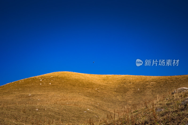 新疆天山山脉雪山山峰山脉