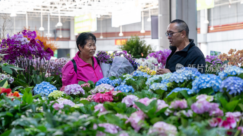 云南昆明斗南花市吸引大量游客前来买花