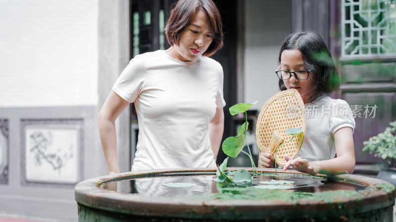 母女俩赏水缸中荷叶的温馨场景