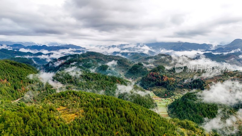 重庆酉阳：白果树边的美景