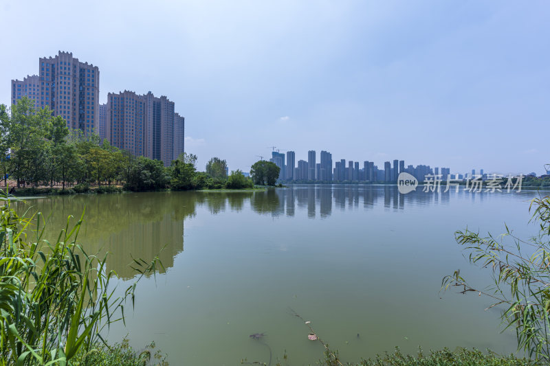 武汉江夏区汤逊湖壹号湿地公园风景