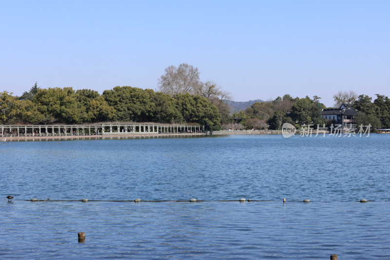 中国杭州西湖花港观鱼碧空映衬下的湖景