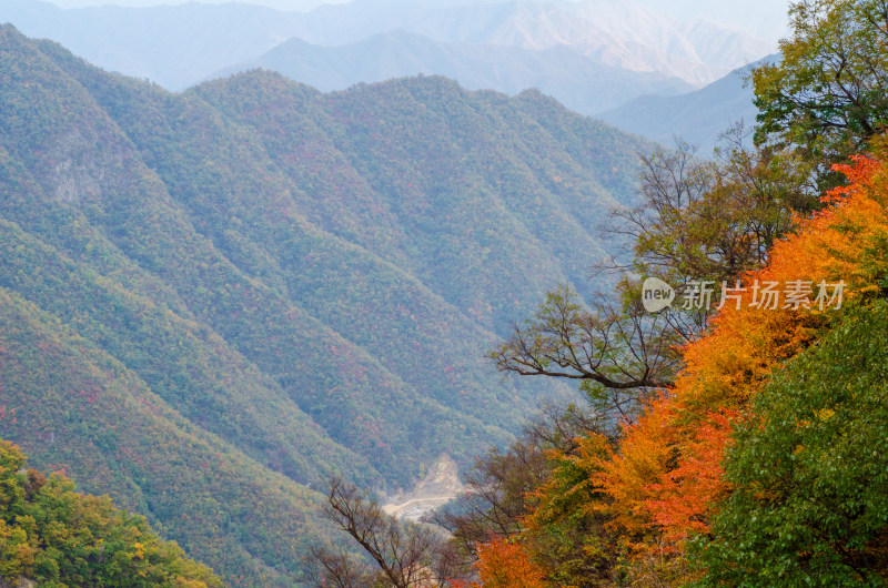 河南省洛阳白云山九龙潭秋天风景