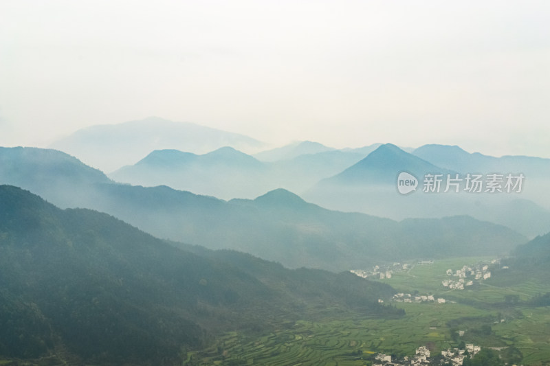 婺源梯田油菜花