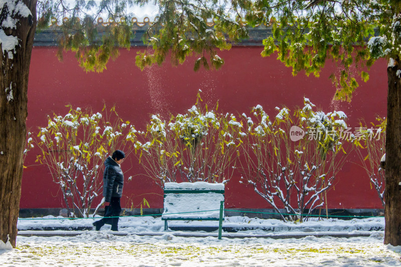 红墙落雪