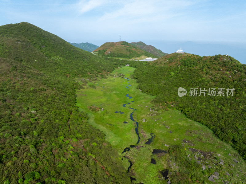 长沙市浏阳大围山杜鹃花海风光