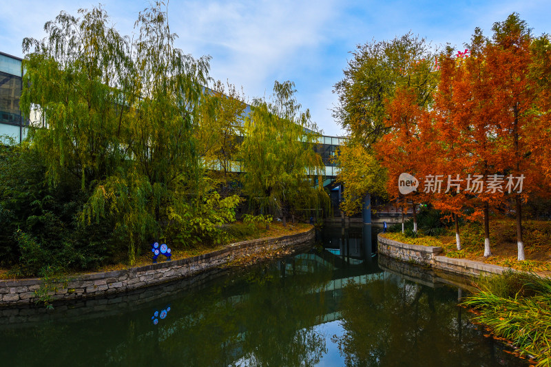 秋日河畔树木与建筑景观