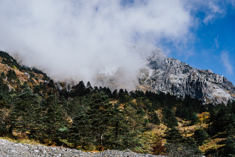 丽江玉龙雪山蚂蝗坝