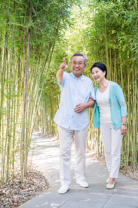 一对老夫妻在竹林散步