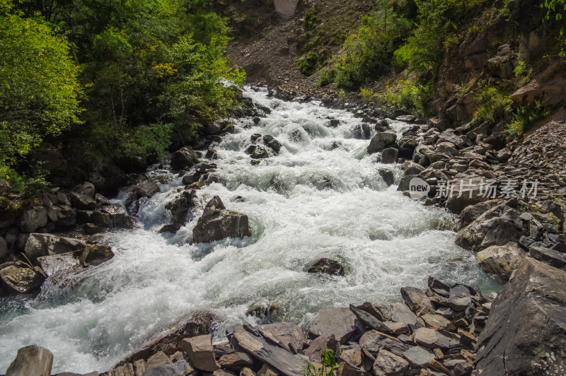 森林山谷河流绿色自然风景