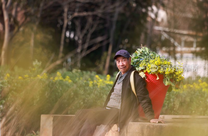 油菜花开春意浓 美丽乡村入画来