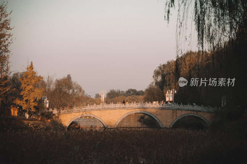 北京运河森林公园