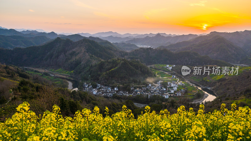 中国徽派建筑油菜花田