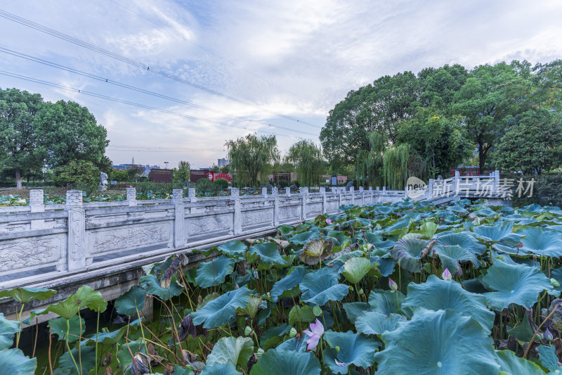 武汉江夏区谭鑫培公园风景