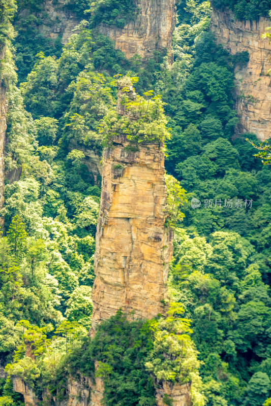 中国湖南张家界景区奇特山峰与茂密森林