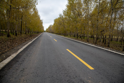 张家口草原公路林间公路