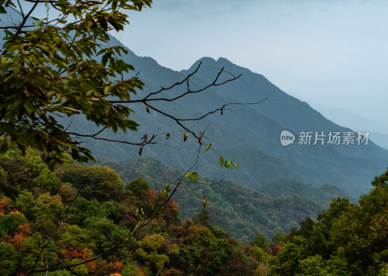 河南洛阳市嵩县的白云山风景区秋色