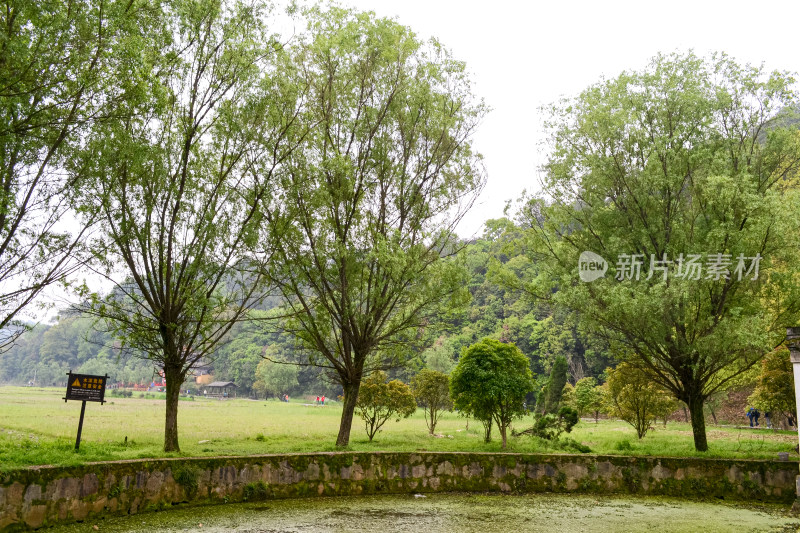 婺源风景