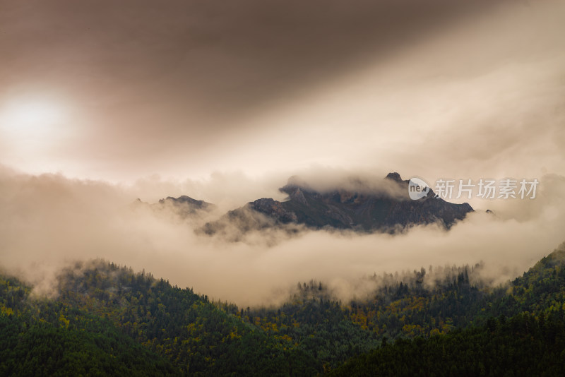 云雾中的森林山峰虎头山