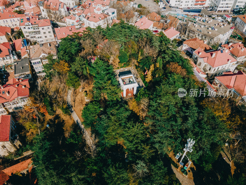 青岛市区城景