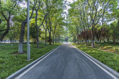 武汉青山区和平公园风景