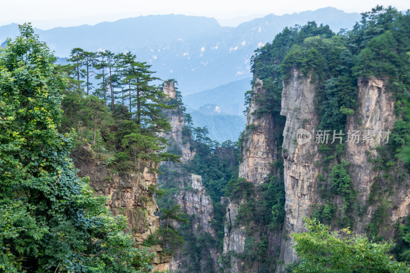 中国湖南张家界的壮丽山脉景观