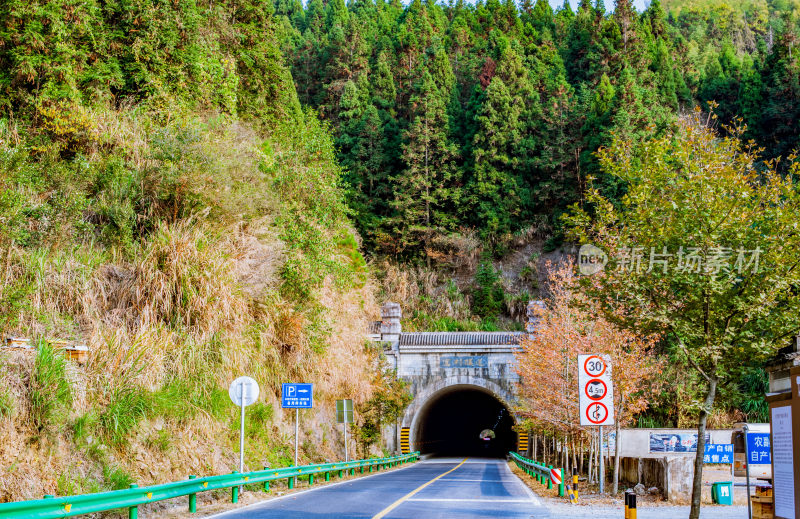 深秋安徽黄山市塔川秋色风光