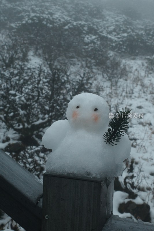 苍山洗马潭户外栏杆上的可爱小雪人