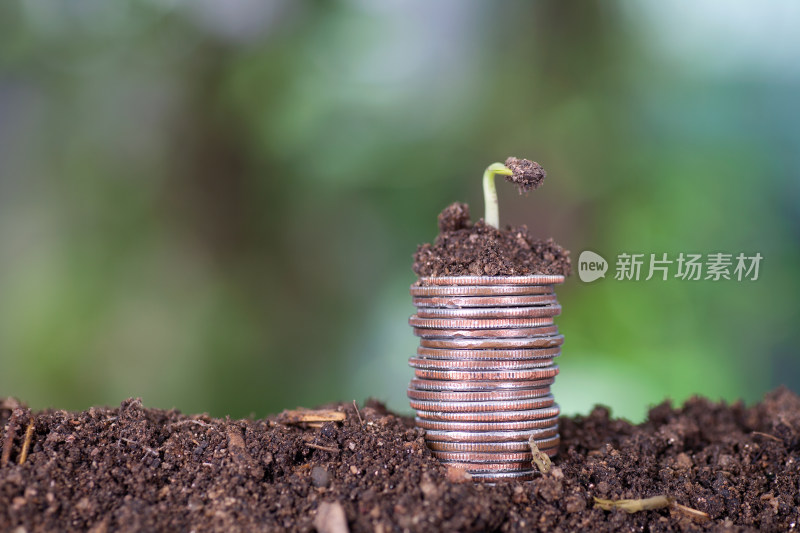 土壤上一摞美元硬币和硬币上一个破土的嫩芽