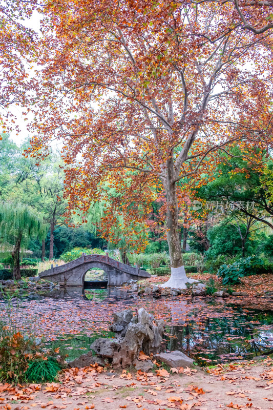 南京钟山风景名胜区明孝陵风景