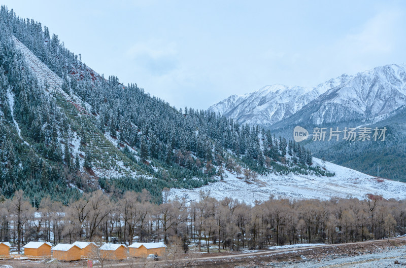 青海海北藏族自治州祁连卓尔山森林雪景木屋