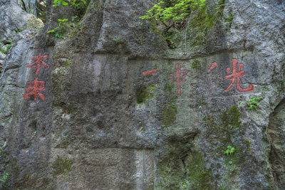 杭州凤凰山景区月岩石灰岩石林