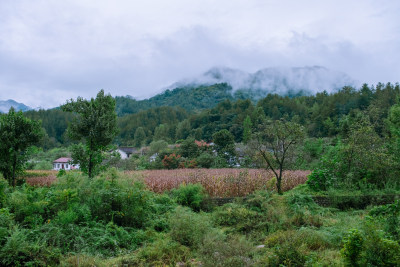 汉中留坝火烧店镇秦岭深处的山村田园风光