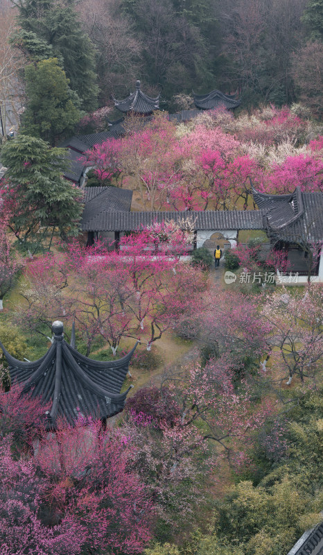 中式园林繁花与古建筑景观