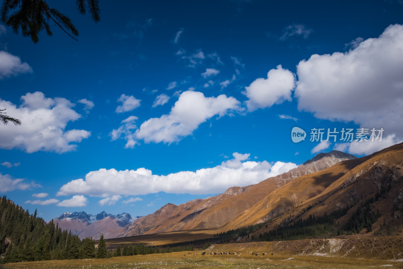 蓝天白云下的山川自然风景