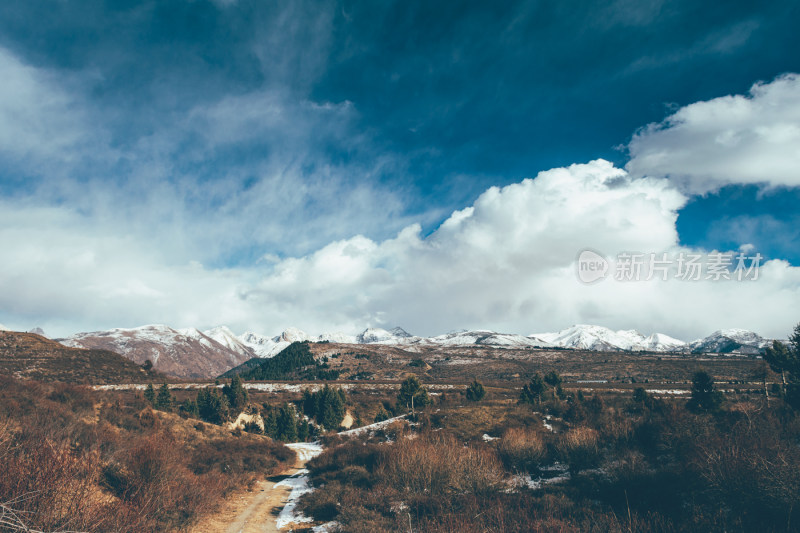 川西九寨沟冬季雪山碧蓝海子唯美