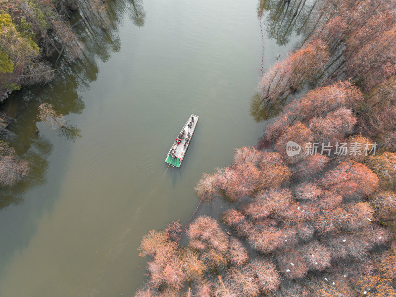 航拍苏州常熟尚湖风景区水杉林与竹筏