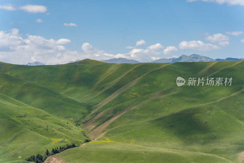 夏季喀拉峻草原