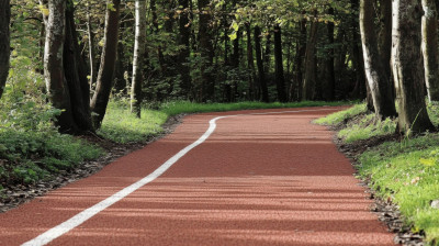 森林里的红色跑道阳光下的林间小路跑步健身